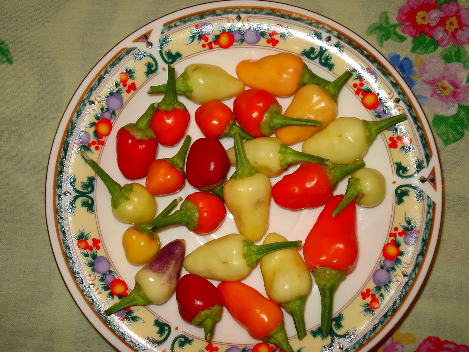 Rote, gelbe und orange Chilis auf einem bemalten Teller