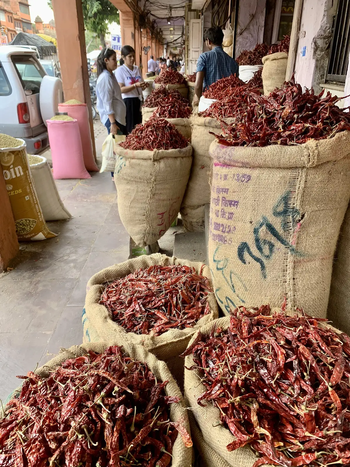 Säcke mit getrockneten roten Chilis vor einem Gewürzladen in Jaipur, Indien